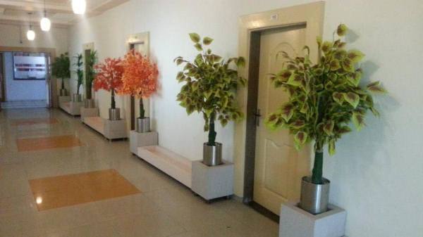 Hotel Janpath, Ahmedabad 5
